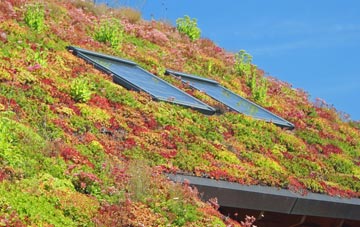 Henley In Arden living roof systems