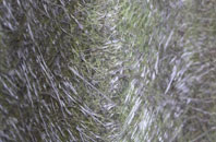 Henley In Arden fibreglass roof work